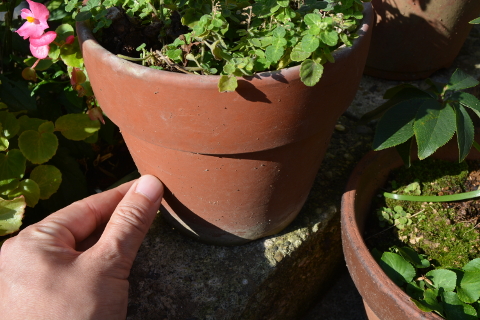 土器の例 | 植木鉢